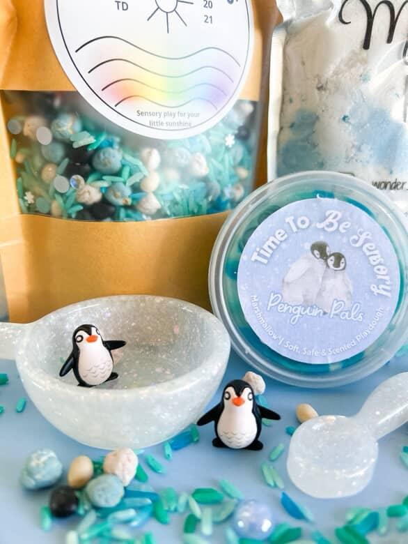 'Snow much fun' Winter Sensory Bundle